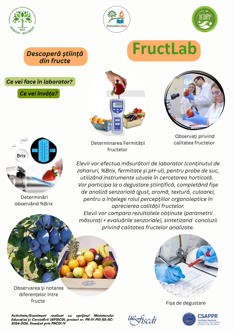 3. fructlab